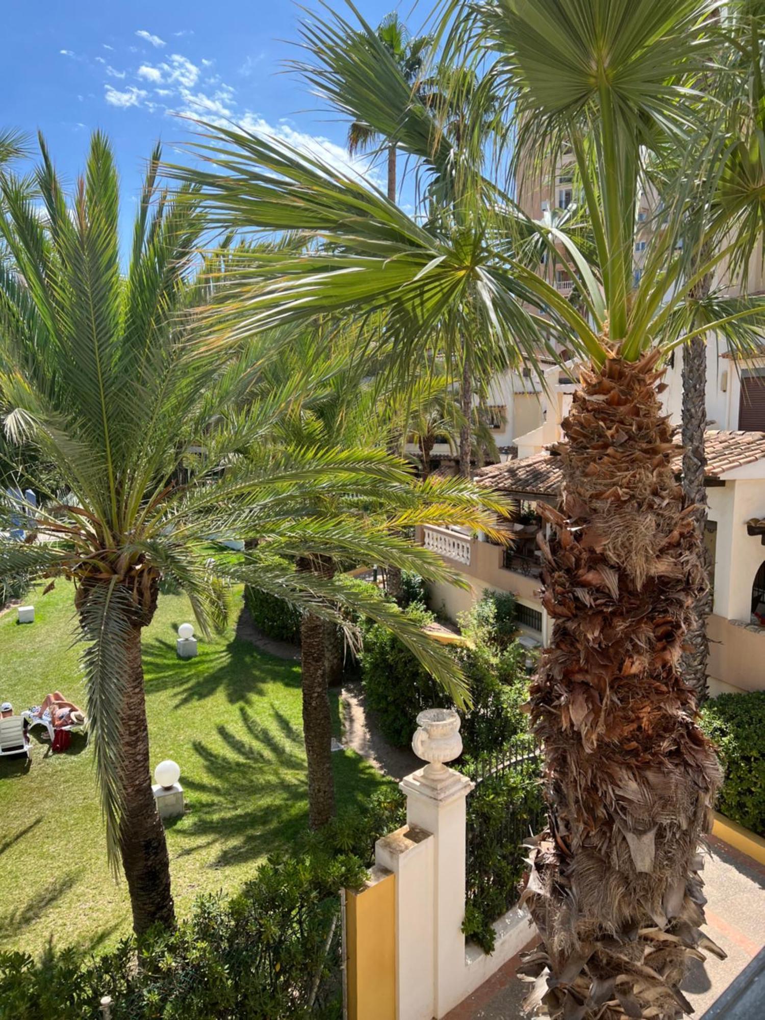 Casa Al Mare Aldea Διαμέρισμα Τορεβιέχα Εξωτερικό φωτογραφία