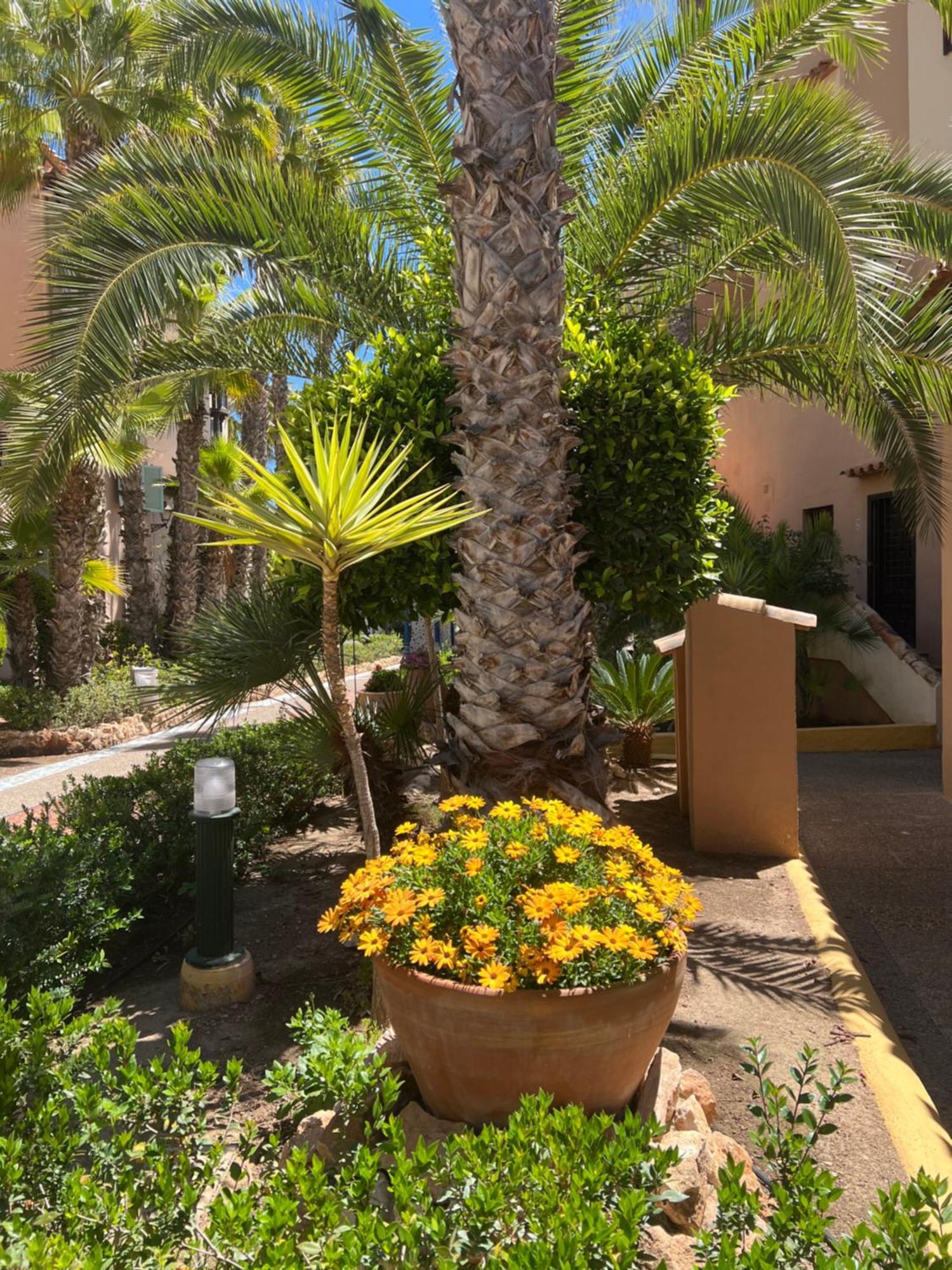 Casa Al Mare Aldea Διαμέρισμα Τορεβιέχα Εξωτερικό φωτογραφία